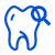 Natural Tooth Structure